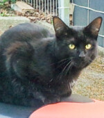 Moon Svg+xml,%3Csvg%20xmlns%3D%22http%3A%2F%2Fwww.w3